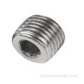 Stainless steel hex hex threaded plug